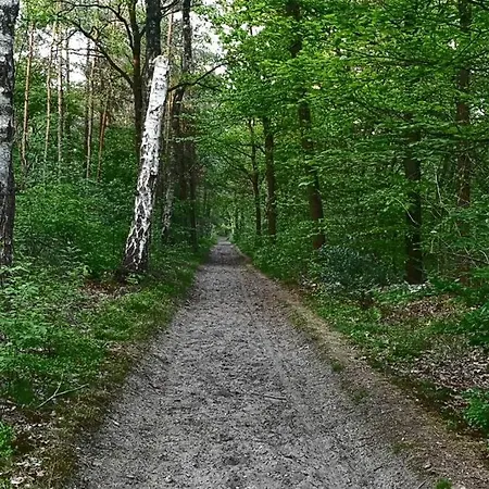 Kemperberg Appartement *