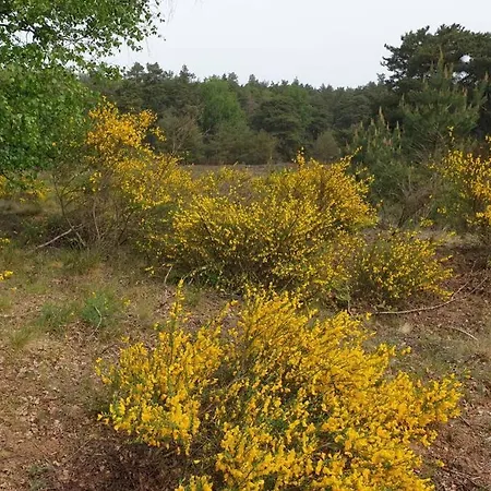 Appartement Kemperberg Arnhem