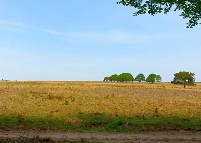 Apartament Kemperberg Arnhem