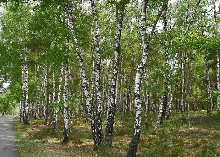 Kemperberg Lejlighed Arnhem