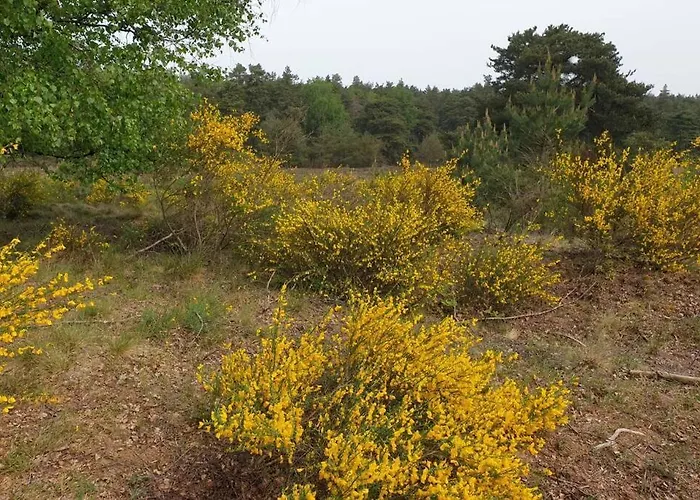 Appartement Kemperberg Arnhem