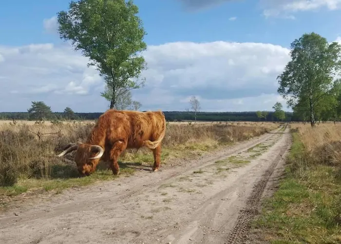 Kemperberg Appartement Arnhem
