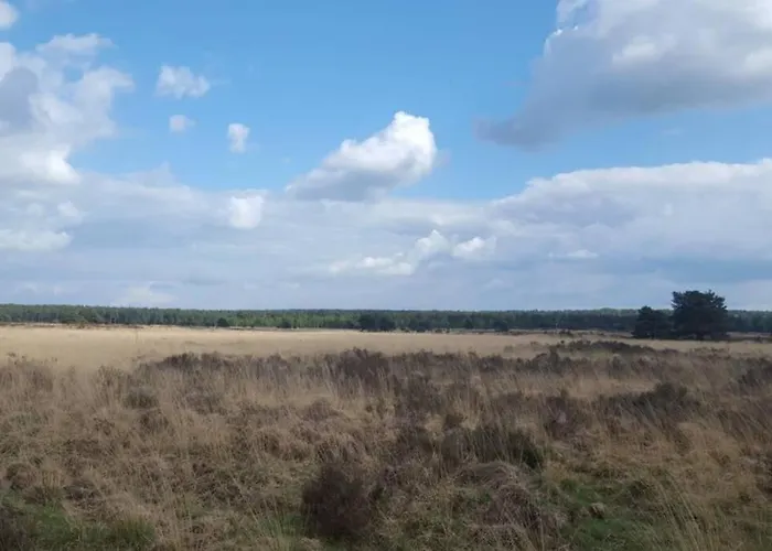 Apartment Kemperberg *