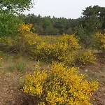 公寓 Kemperberg 阿纳姆